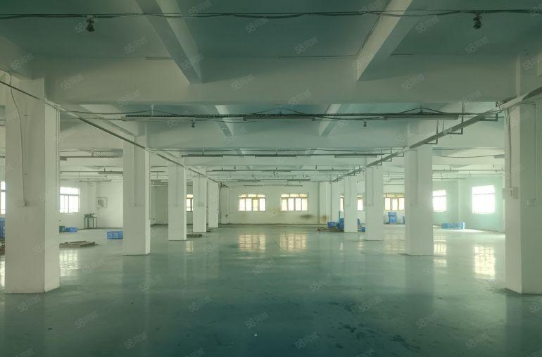 厚街楼上新出1300平方厂房出租带精装修办公室可整租可分租