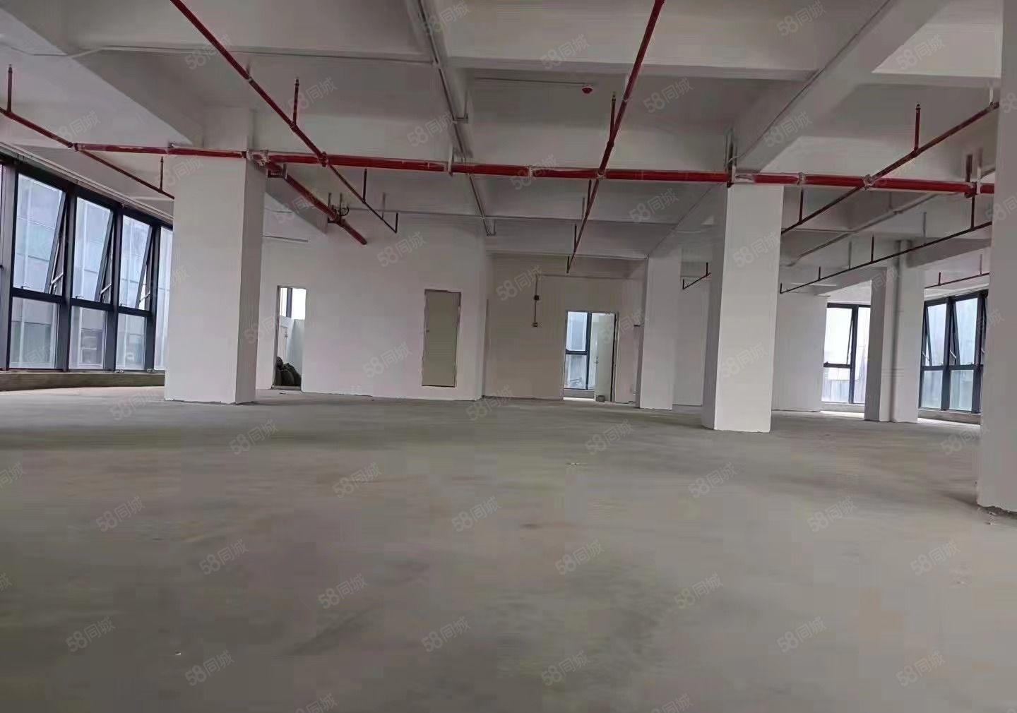 免租期6个月厚街全新厂房出租适合高端研发电商直播