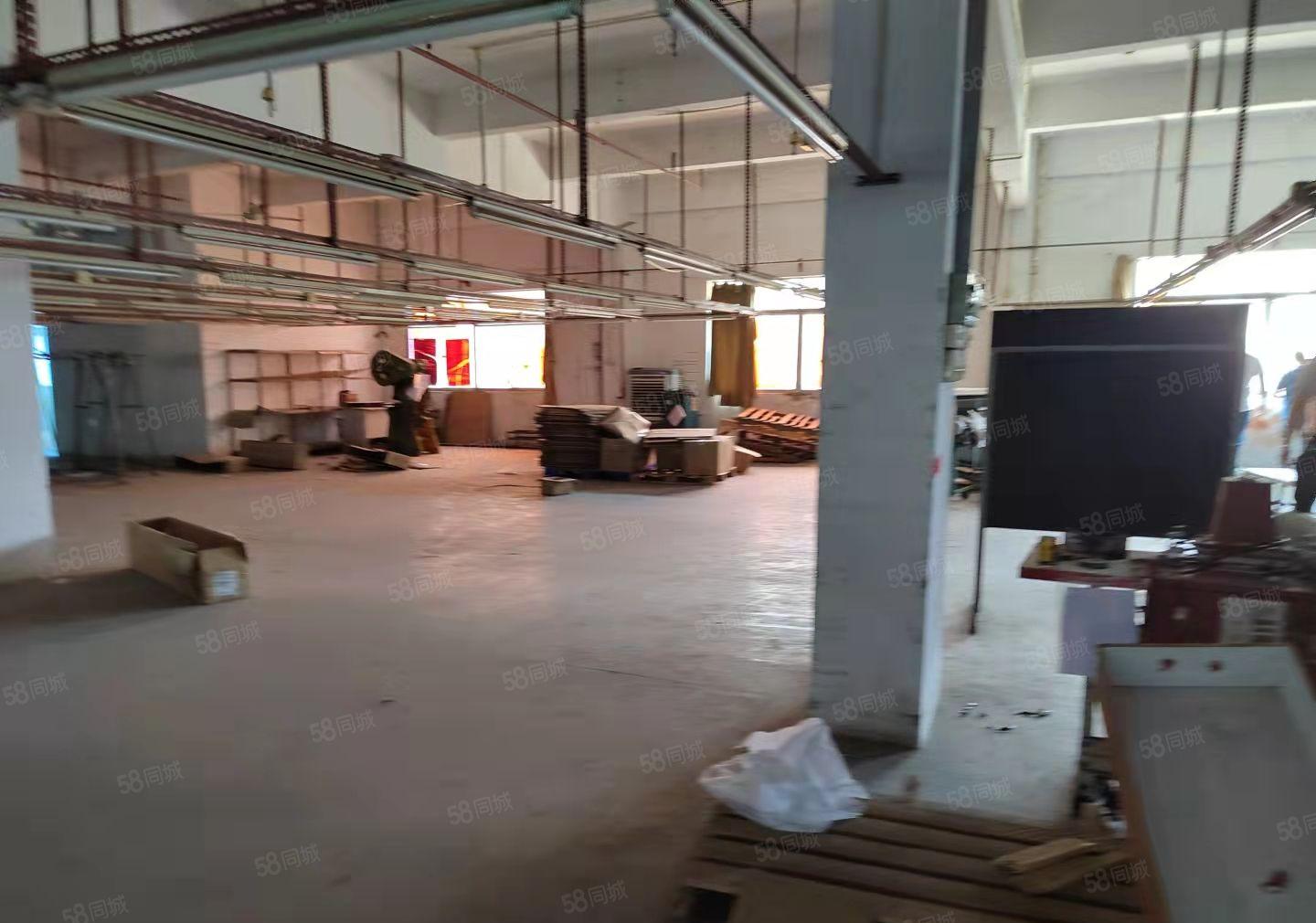 厚街新出无公摊实量厂房