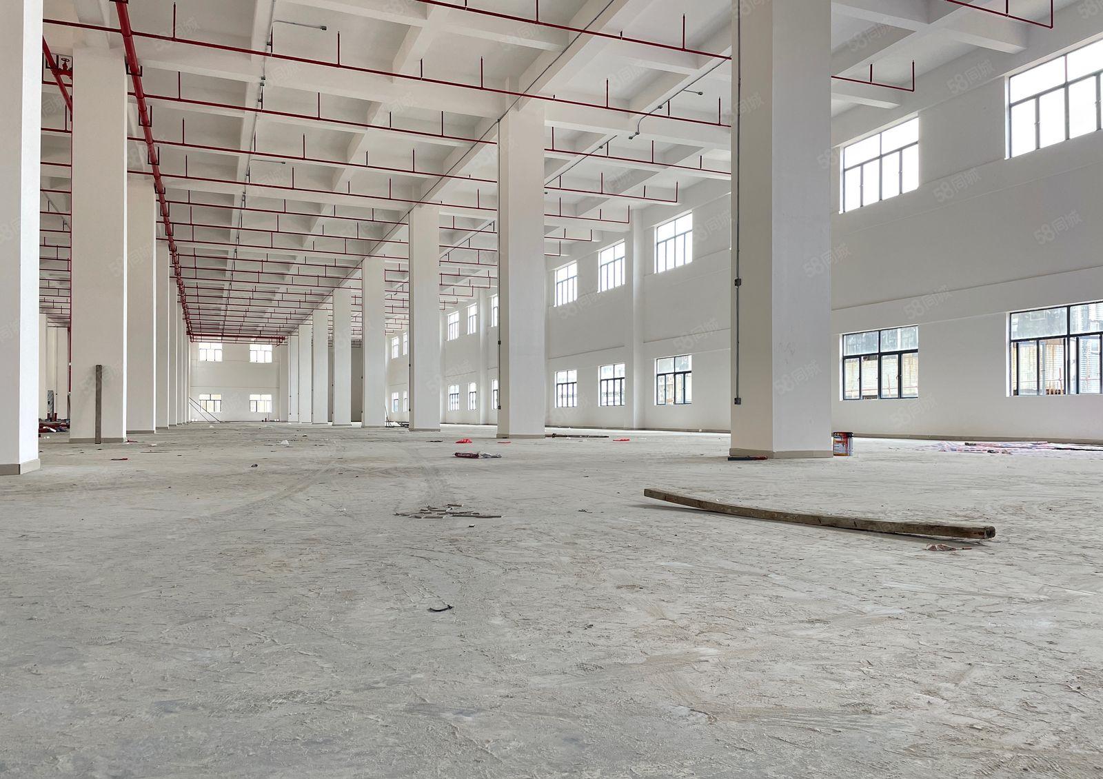 厚街高端产业园全新独院3.8万方厂房出租2000起分全新装修