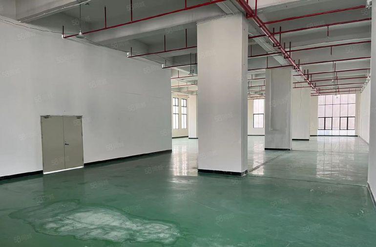 厚街全新重工业厂房整层楼上1200平形象好电梯大好停车