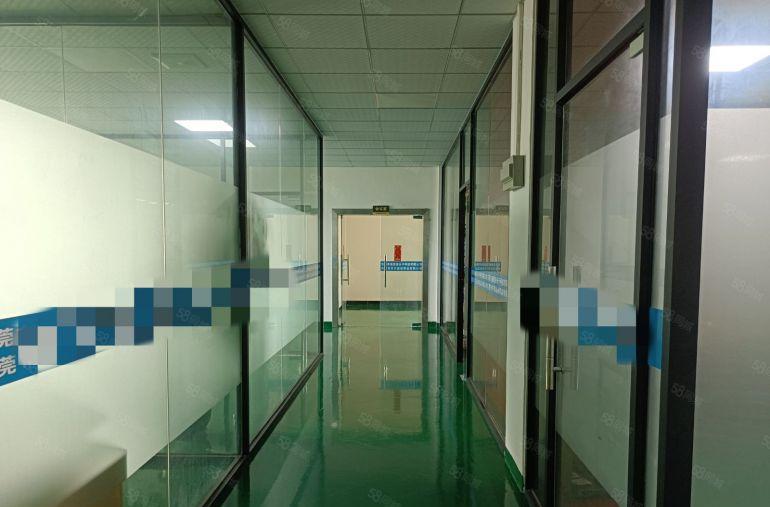 厚街桥头新空楼上1600平豪华装修办公室水电齐全厂房出租