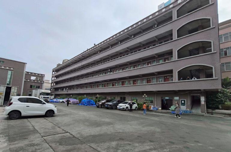 厚街标准独门独院厂房  空地大 适合电子 五金 鞋材 家具