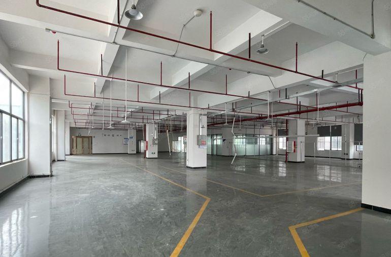 ！厚街（豪华装修）整层2000平方厂房出租