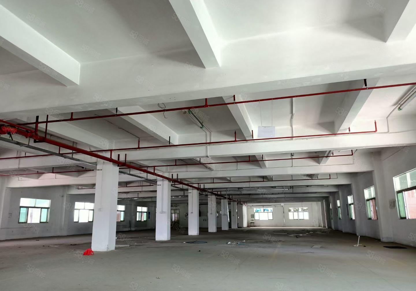 厚街白濠（原房东）14000平厂房出租花园试厂房空地非常大