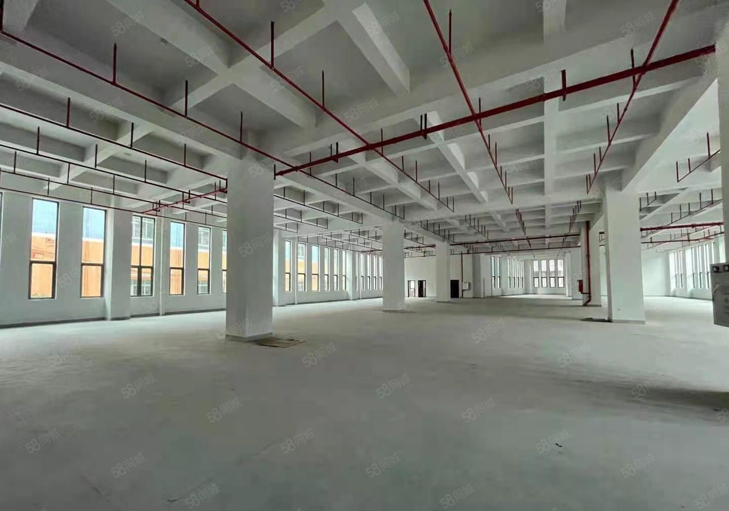 汀山全新厂房一楼2500平厂房出租， 园区厂房，带消防喷淋