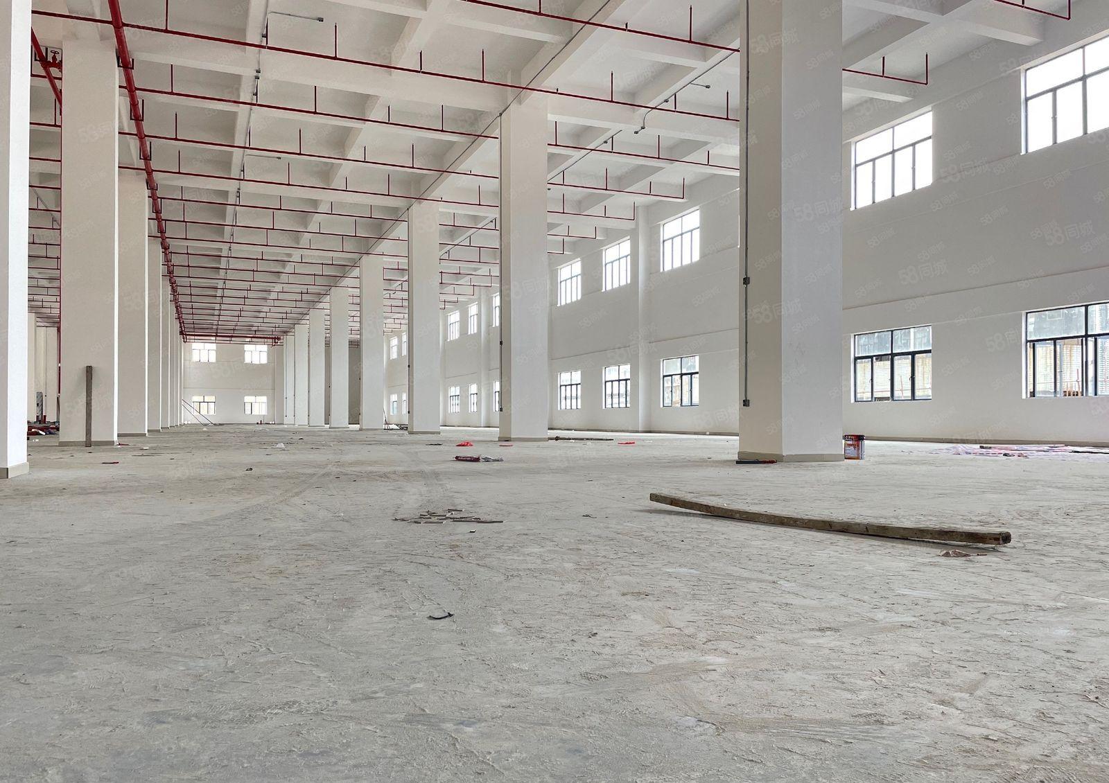 厚街高端产业园全新独院一楼2500平厂房出租全新装修