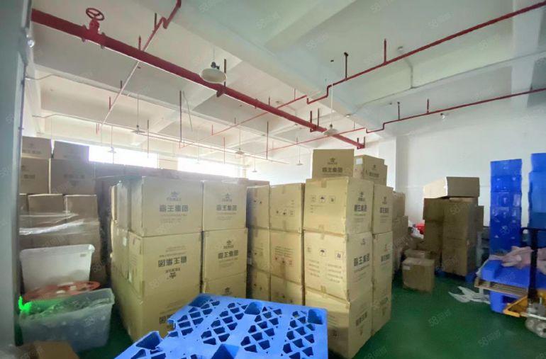 厚街原房东850平精装修厂房出租，水电齐全，工业用地可办环评