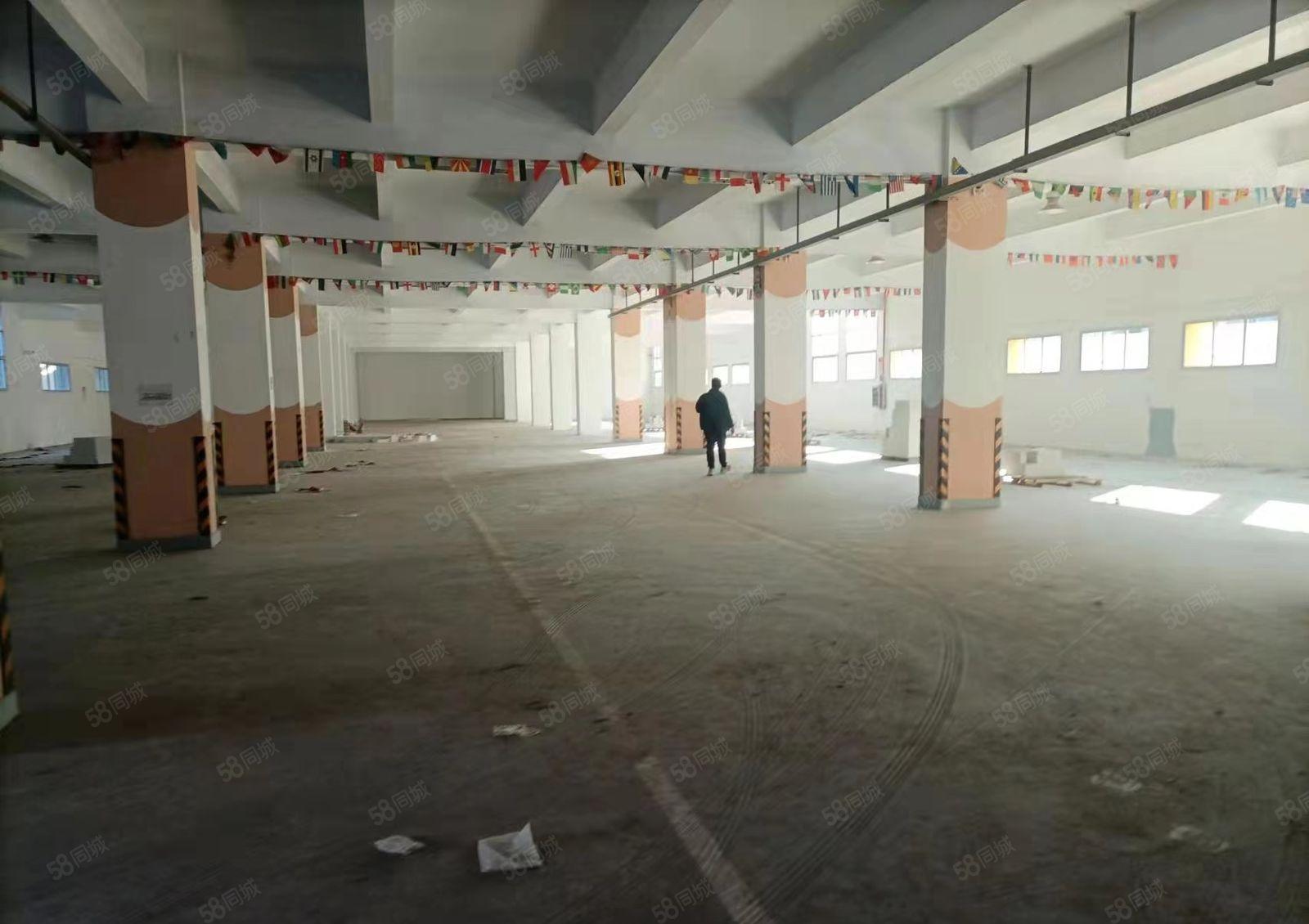 厚街新出标准楼房一楼2700平方层高6米带装修