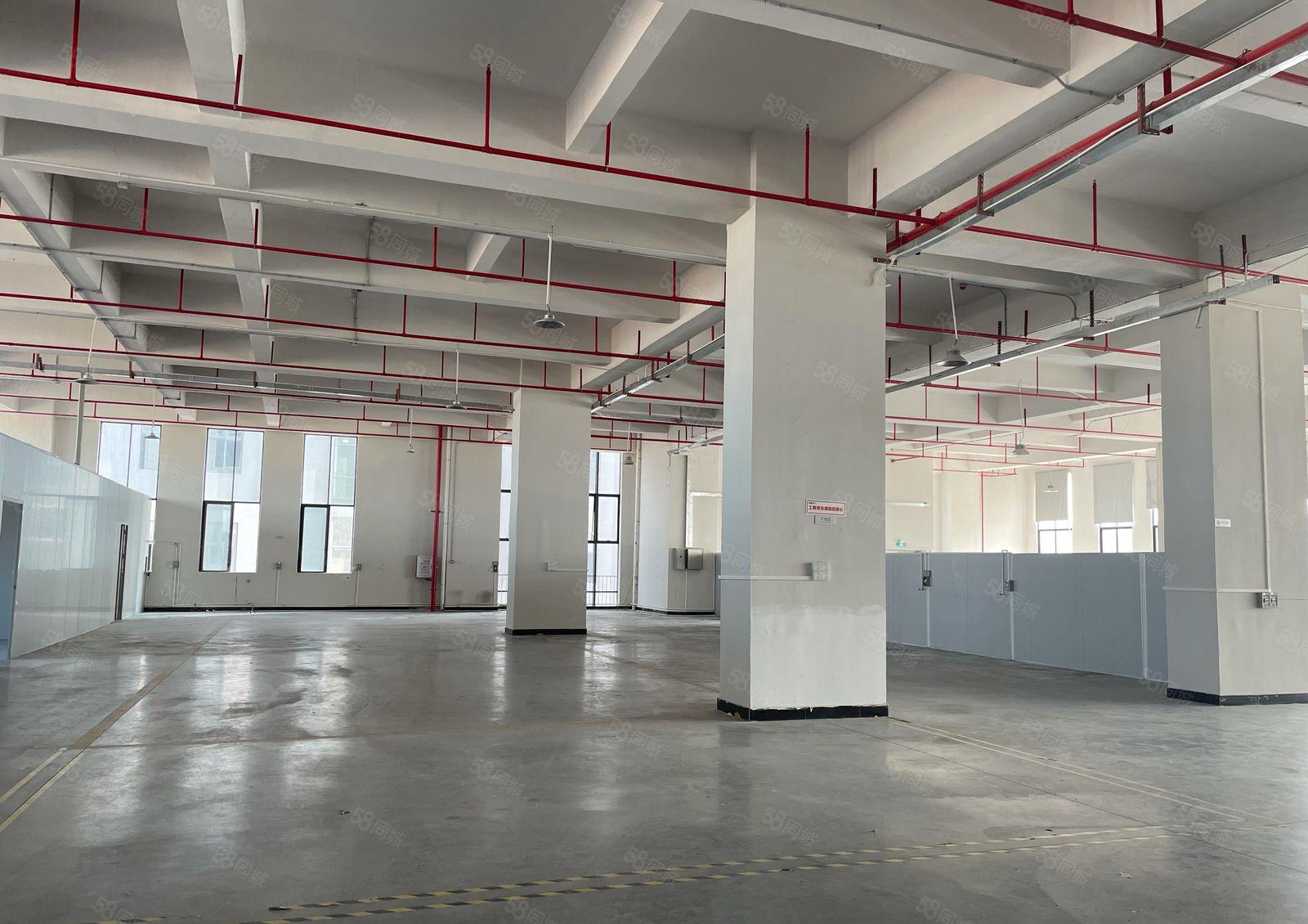 厚街宝屯楼上带装修1900平方带装修水电齐全