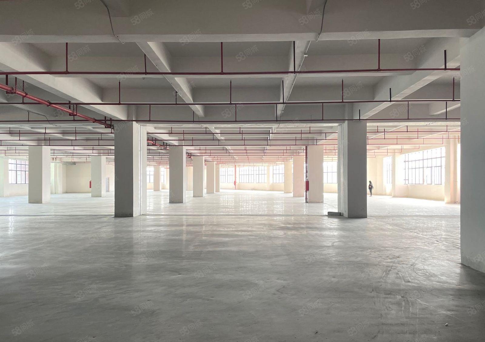 厚街全新独院楼上7000方厂房出租合同十年还价就租