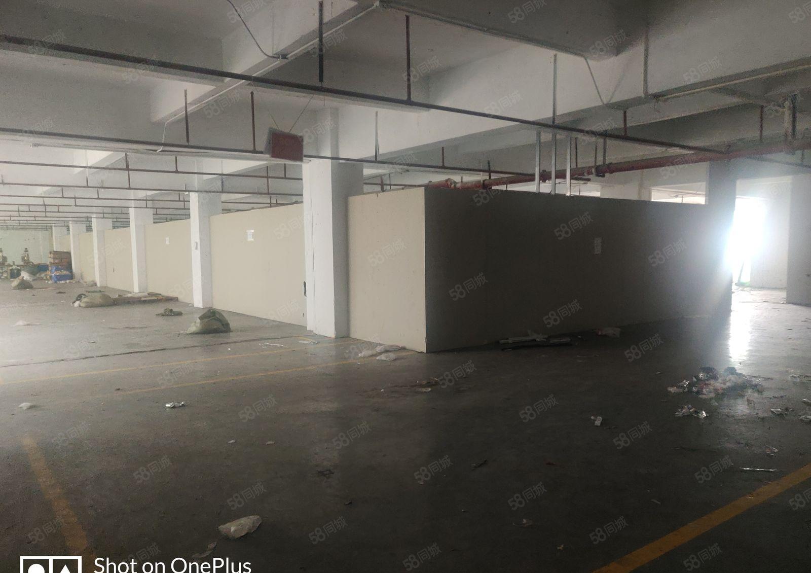 厚街新出楼上厂房，面积大租多少分多少，园区大好进车租金便宜