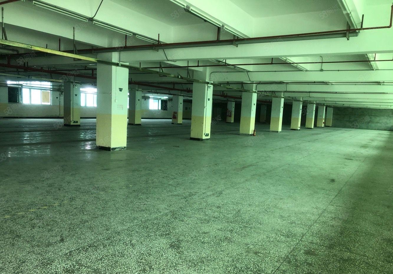 厚街三屯厂房大小可分，总面30000平，格局方正大车进出方便