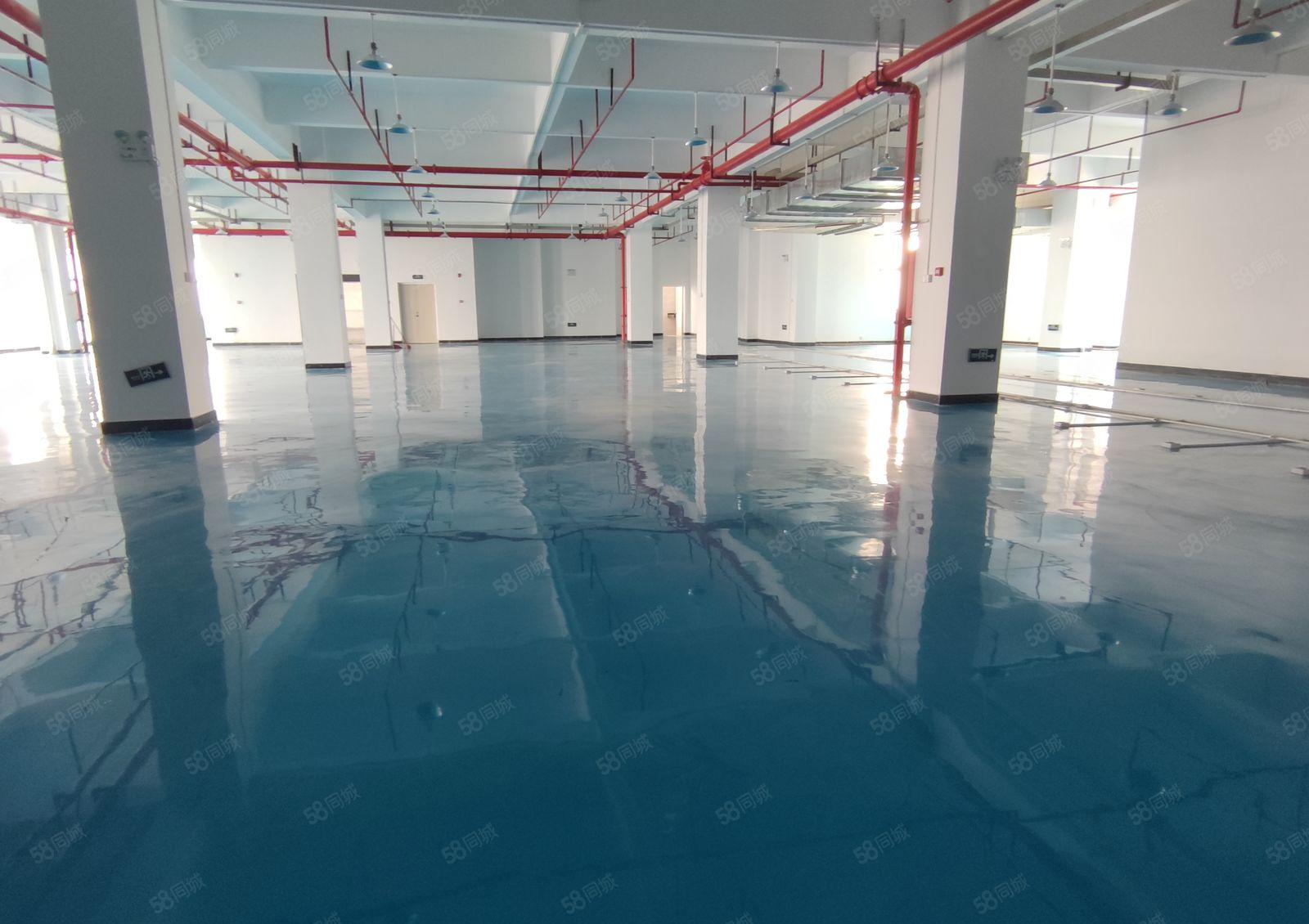 真实全新厂房 全新装修出租！