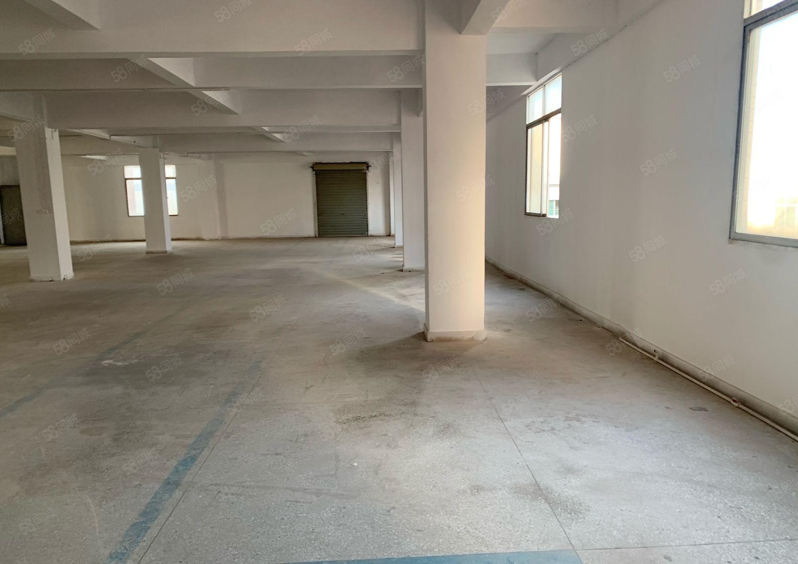 厚街600方标准厂房3楼 现成水电 9成新