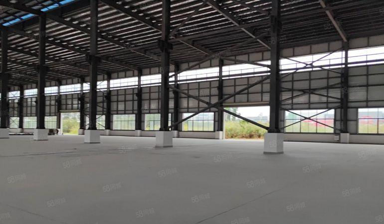 独院原房东钢构厂房6700平方 15米高 带隔热层 全新超靓