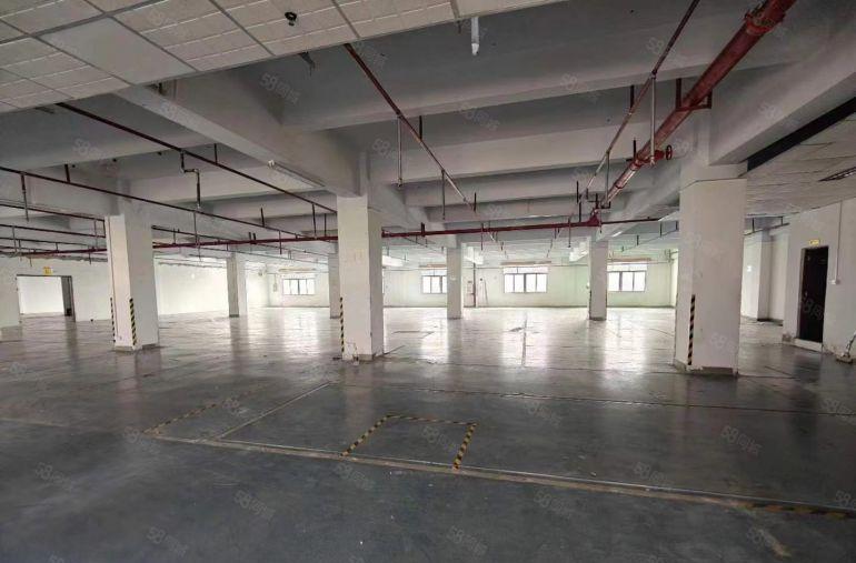 厚街新出标准厂房3楼1700方，空地大，形象好