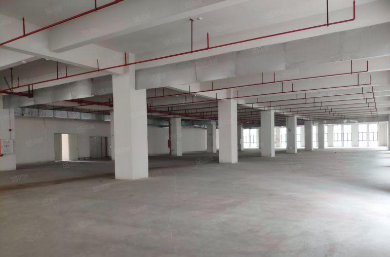 可分租！厚街新建厂房每层2400平厂房出租仓库出租带卸货平台