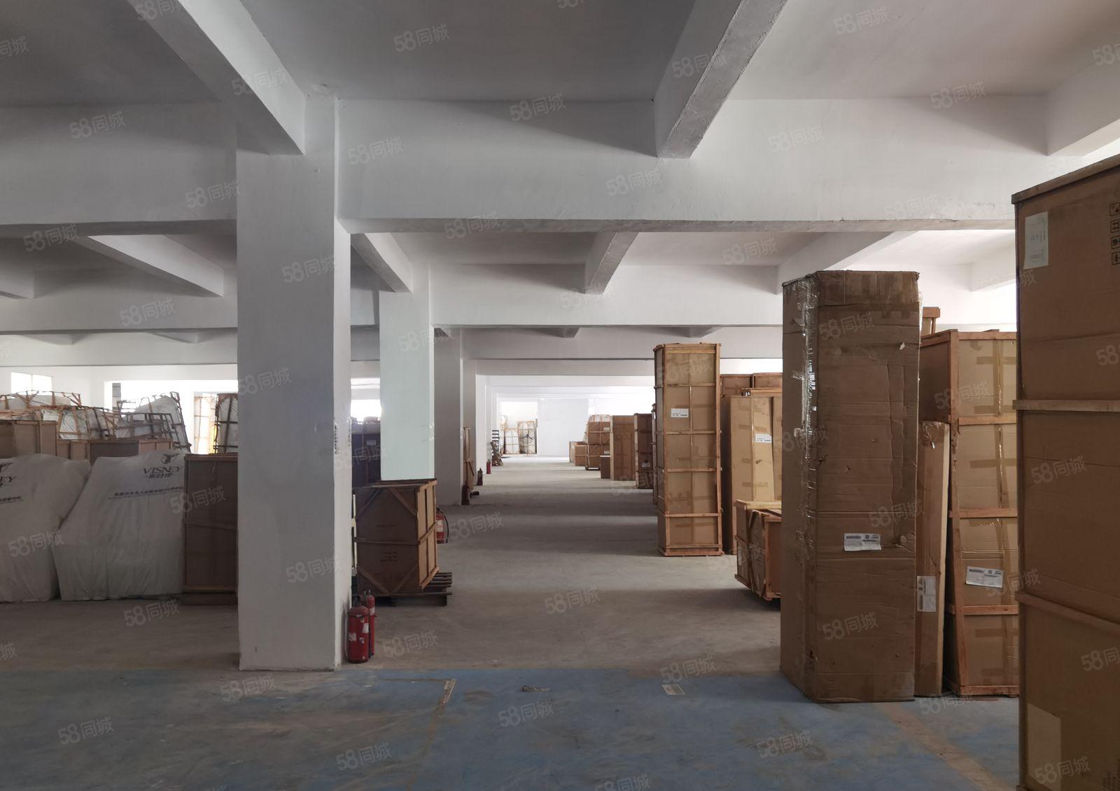 独门独院3600平厂房出租大电梯交通方便园区形象好工业用地