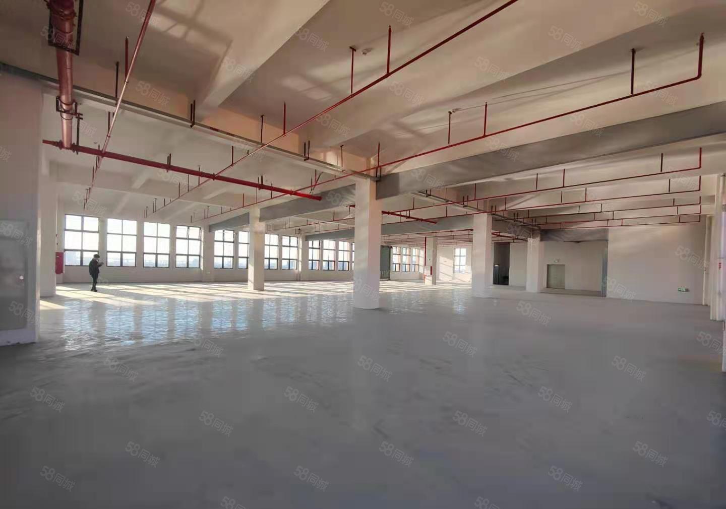 厚街涌口原房东1730平方全新地坪漆水电齐全