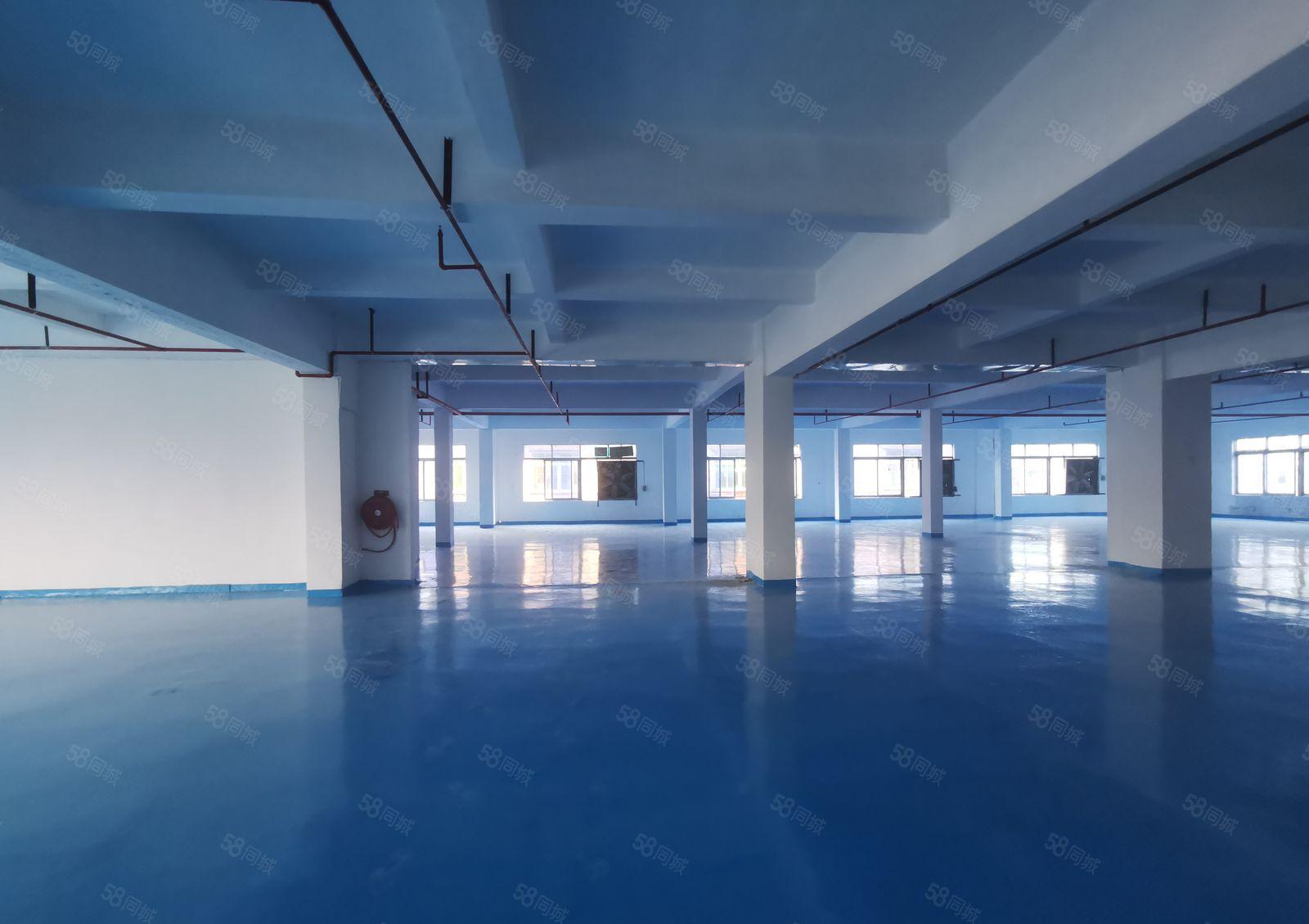 厚街镇厚街村，二楼全新厂房低价招租，有精装办公室，消防齐全。