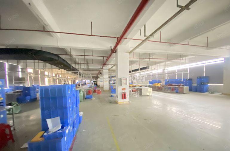 厚街  原房东 独院 红本 适合电子五金注塑模具钣金家具鞋厂