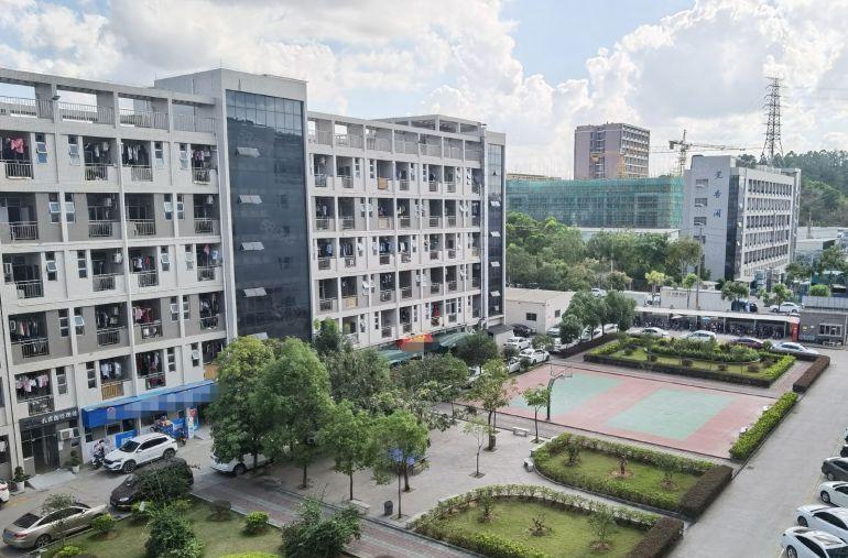 8元起租塘厦原房东厂房仓库出租大小可分租价楼上都有现成厂房