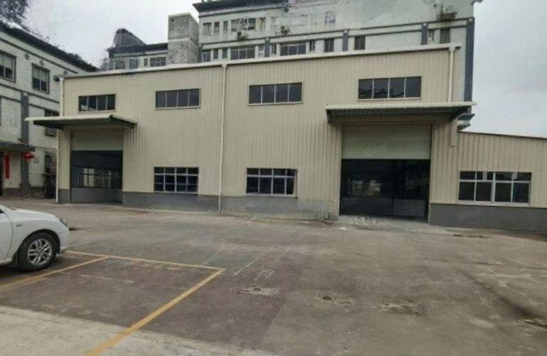 塘厦平山新出独栋全新800平方单层钢构滴水8米低价甩租