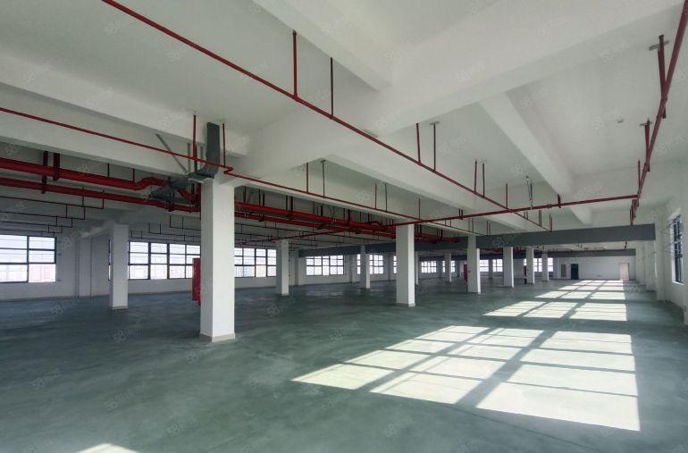 塘厦原房东邻深独院全新厂房出租四部3吨电梯配电大800平起分