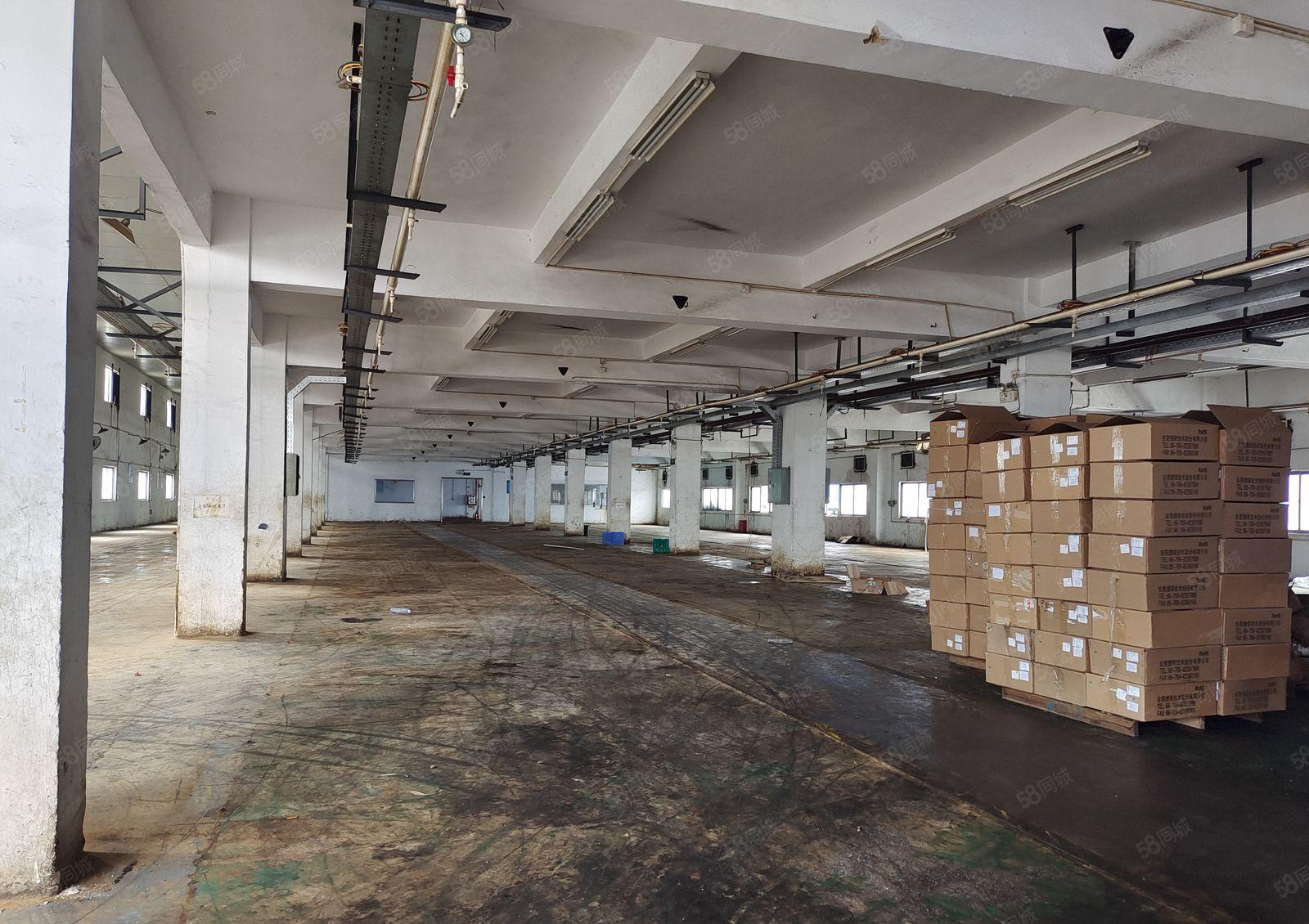 塘厦一手房东直租厂房，一楼实积面积1800平方，合同久