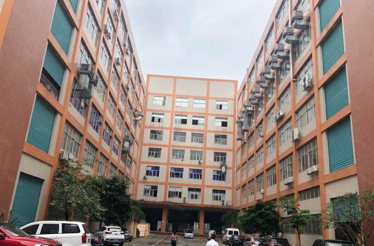 塘厦新出豪华装修1200平方原房东红本厂房