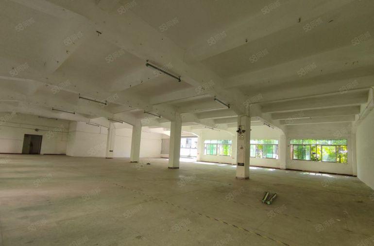 塘厦镇龙背岭村标准一楼800平方招租