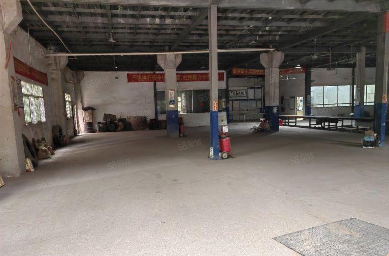 塘厦原房东独栋厂房一楼580平仓库厂房出租，实际面积，马路边