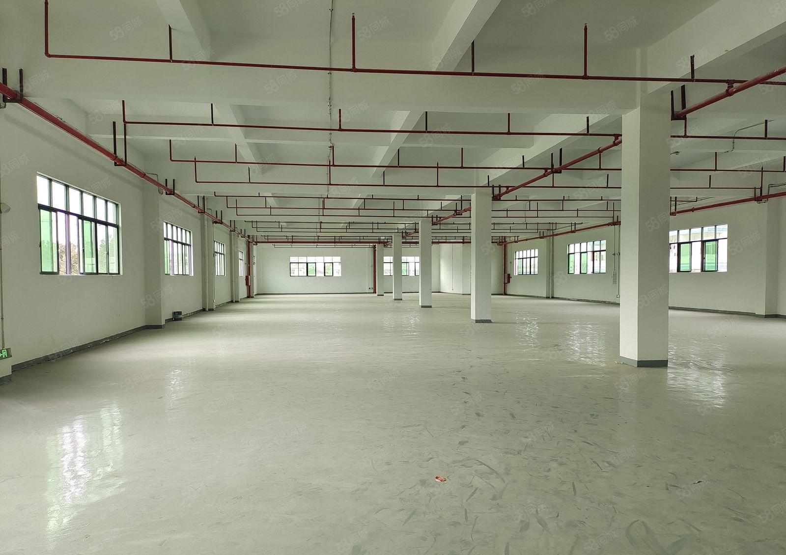 塘厦二楼和三楼各1500平方厂房，靠近深圳