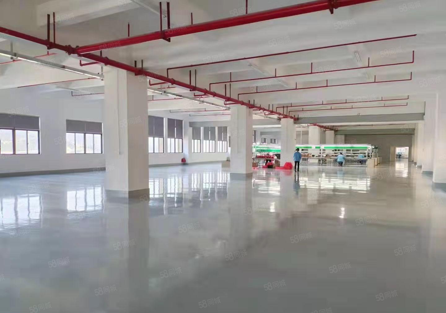 塘厦全新楼上厂房 原房东厂房急租15元每平 0公滩