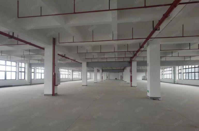 塘厦科苑城新出楼上6000平单层3000平带装修厂房仓库出租