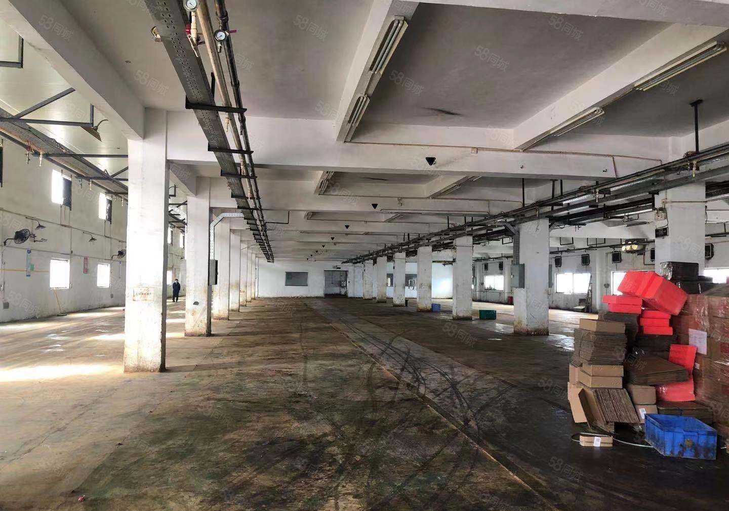 塘厦原房东标准一楼厂房1843平米出租大小可分租