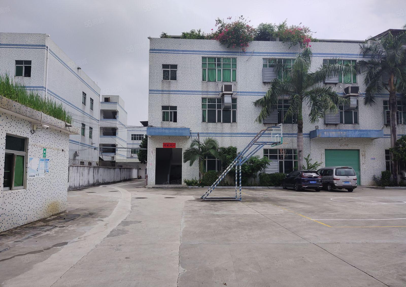 塘厦田心工业区原房东2百5百8百1千平一楼仓库厂房出租可分租