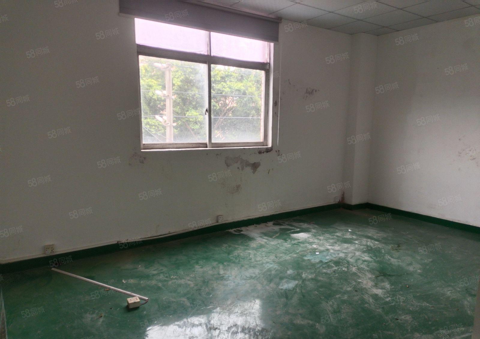 塘厦一楼500平现成物流仓库 独门独院 随时可看可定