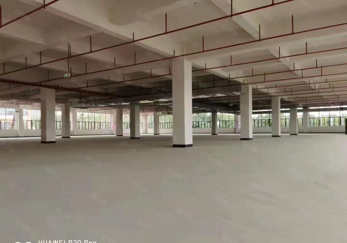 东莞塘厦新出独院 标准厂房11000平 出租