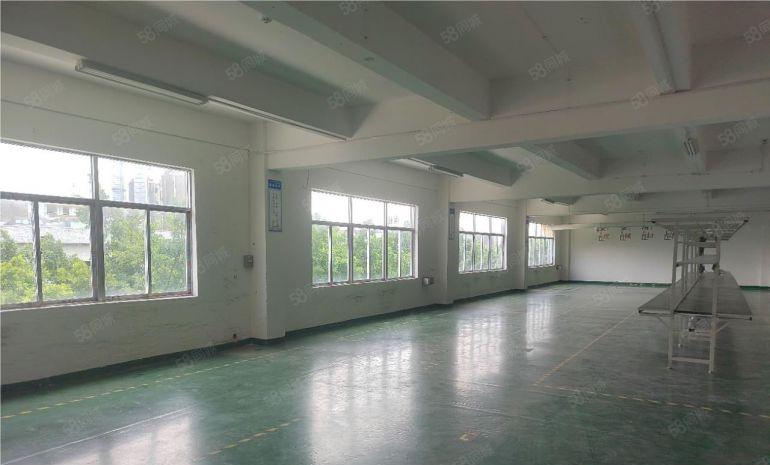 12元塘厦邻深原房东带豪华装修园区厂房仓库出租500平起分租