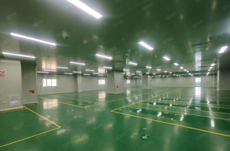 塘厦林村高速口2800平现成装修标准厂房，3吨货梯，大小分租