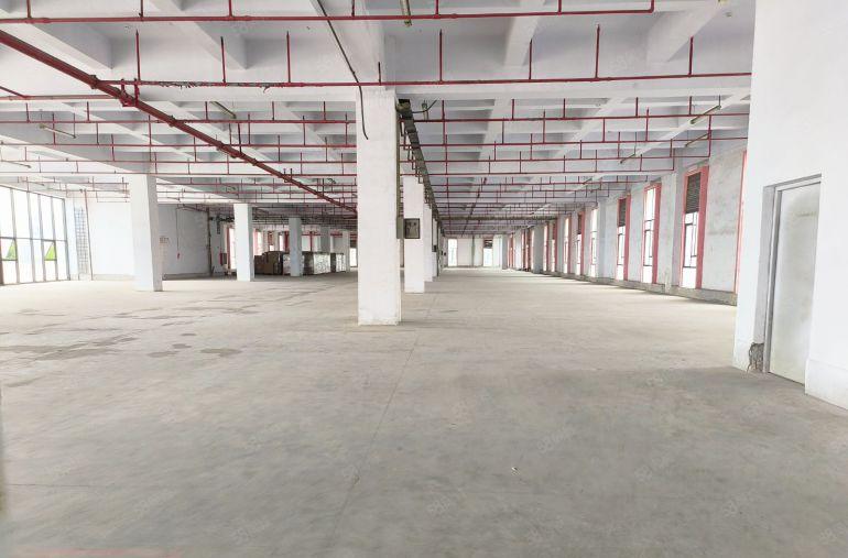 0公摊塘厦石潭埔厂房出租本地房东直租厂房仓库电商一到3层