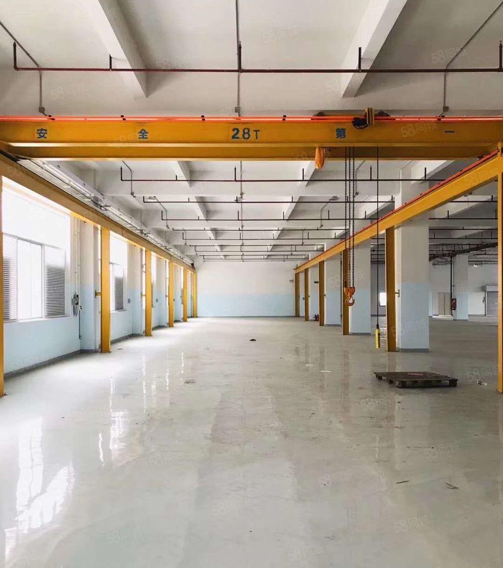 塘厦科苑城8000平独院厂房出租 标准厂房分租单层2000平