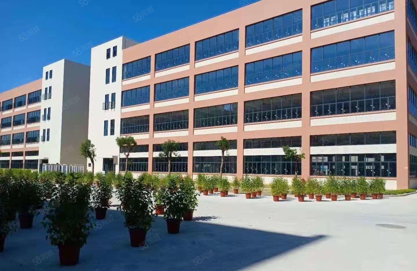 塘厦大坪高速出口科苑城原业主独栋8000平大小分厂房仓库出租