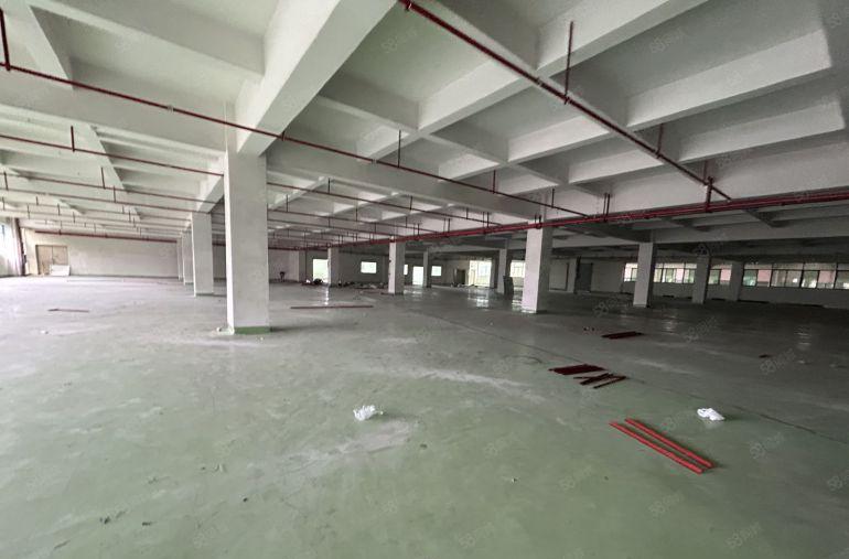 原房东直租标准2楼6500平方！无公摊！现成格局装修