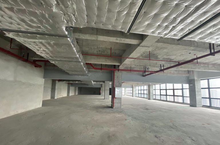 雁田京东智谷 新园区厂房大小面积招租 可做多行业环境好