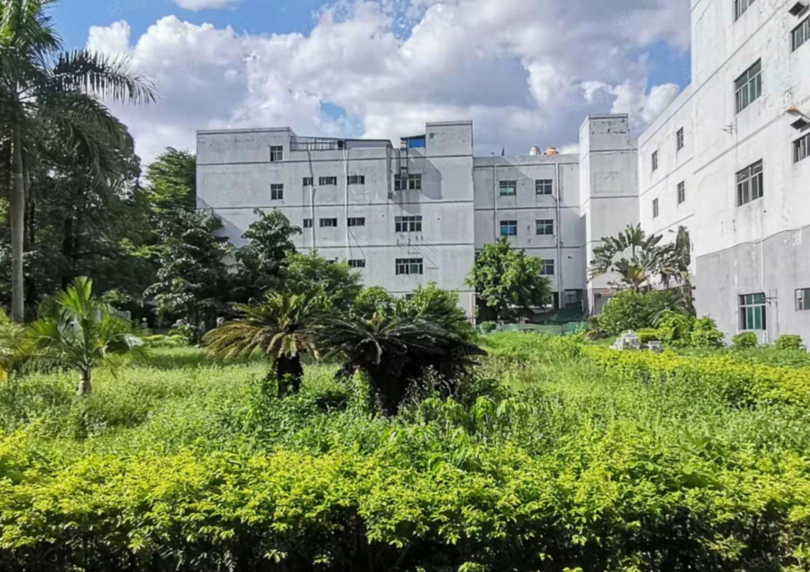 东莞塘厦桥陇原房东标准厂房11700平方厂房出租