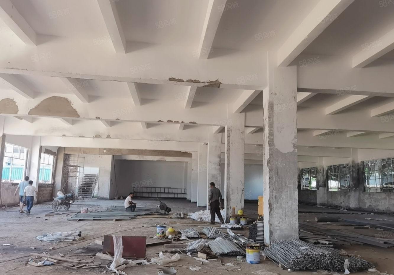 塘厦横塘5300平新建厂房出租一手房东,无公摊现成装修采光好