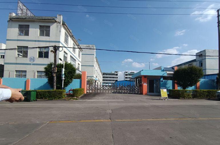 500起分！塘厦清湖头工业园标准一楼2000平交通方便靠高速